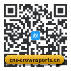 iOS 苹果生态原生版 二维码